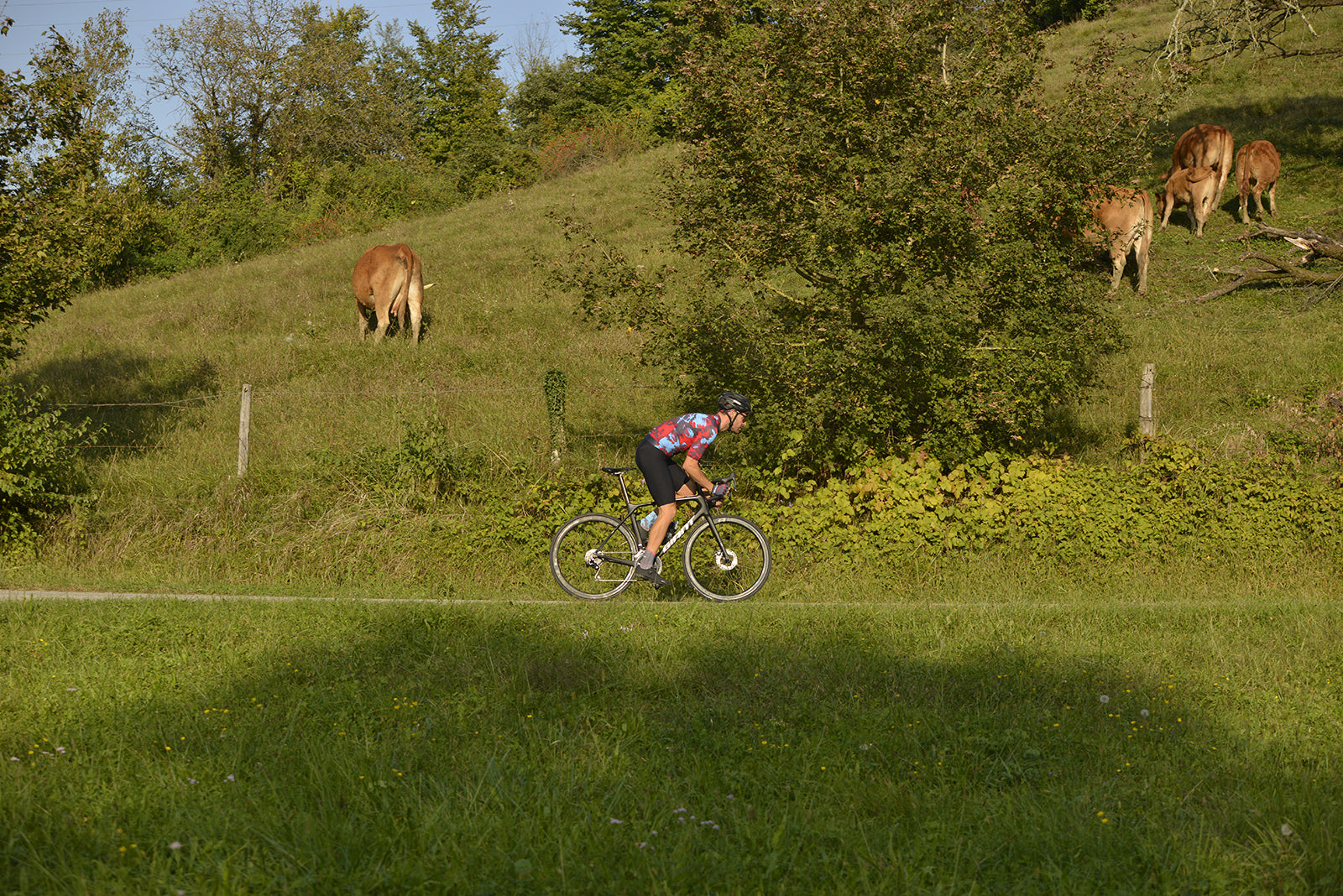 Velotrikot kurzarm BLEACH Herren